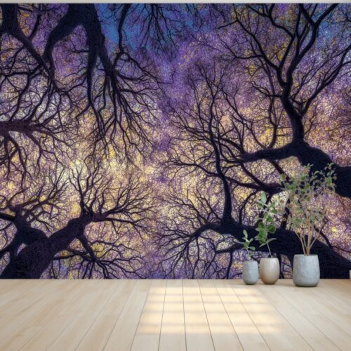 Fotobehangwinkel.nl Enchanted Twilight Canopy