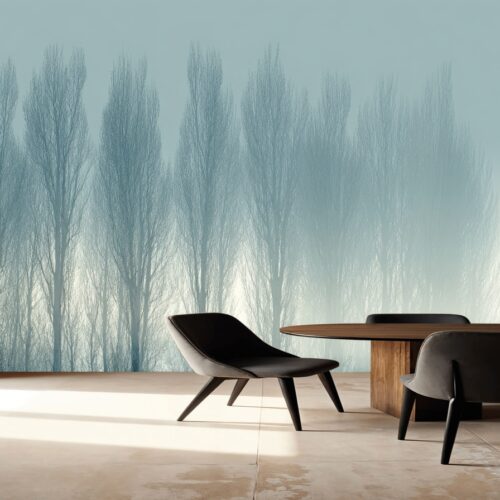 Enchanted Misty Forest Dreams