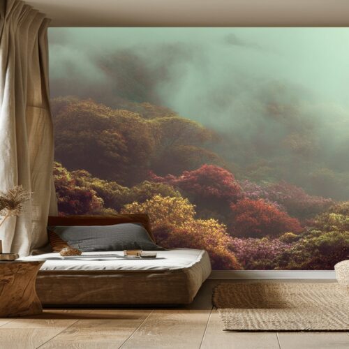 Mystical Forest Canopy in Mist