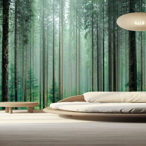 Enchanted Forest Retreat Wallpaper 7 Fotobehangwinkel.nl Enchanted Forest Retreat Wallpaper