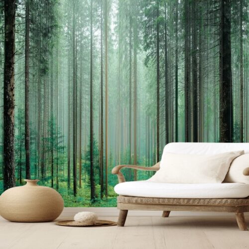 Enchanted Forest Retreat Wallpaper 9 Fotobehangwinkel.nl Enchanted Forest Retreat Wallpaper