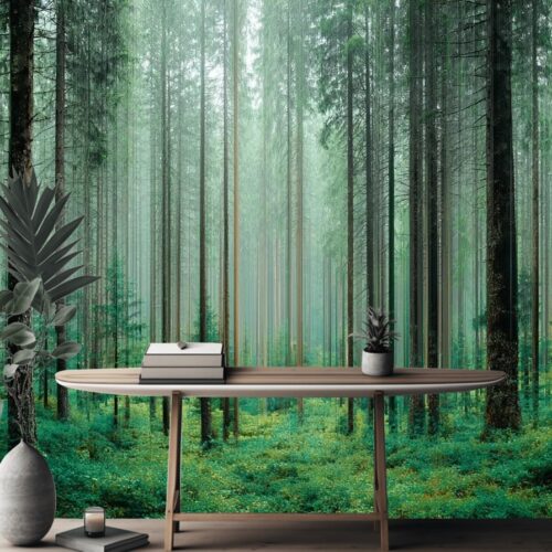 Enchanted Forest Retreat Wallpaper 8 Fotobehangwinkel.nl Enchanted Forest Retreat Wallpaper