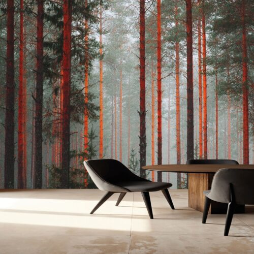 Mystical Autumn Forest Glow