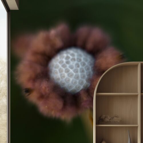 Fotobehangwinkel.nl Fotobehang Mystieke Bloemvormige Transformatie