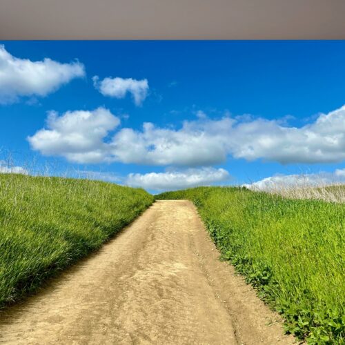 Fotobehangwinkel.nl Fotobehang Rustieke Landweg Onder Blauwe Hemel