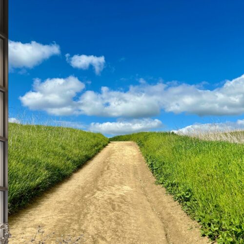 Fotobehangwinkel.nl Fotobehang Rustieke Landweg Onder Blauwe Hemel