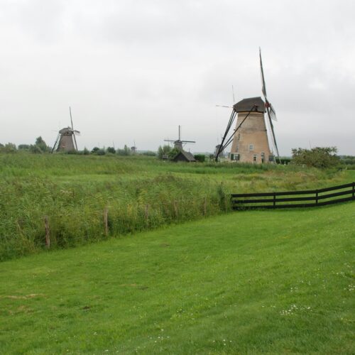 Fotobehangwinkel.nl Fotobehang Rustieke Molens in Groene Weiden