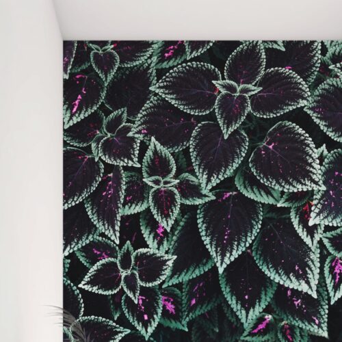 Fotobehangwinkel.nl Fotobehang Fluweelgroene Bladertapijt Met Paars Accent