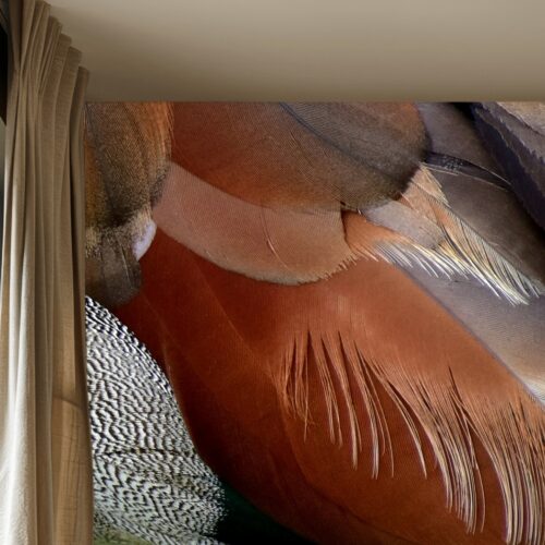 Fotobehangwinkel.nl Fotobehang Veerachtige Kleurenpracht In Natuurlijke Harmonie