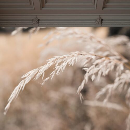 Fotobehang Zacht Ritselen in de Herfstwind