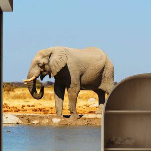 Fotobehang Afrikaanse Olifant aan de Waterkant